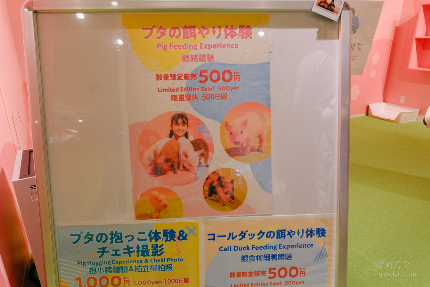 沖繩景點｜DMM水族館 親子互動×餵食體驗全攻略