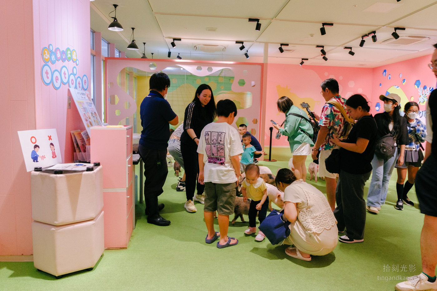 沖繩景點｜DMM水族館 親子互動×餵食體驗全攻略