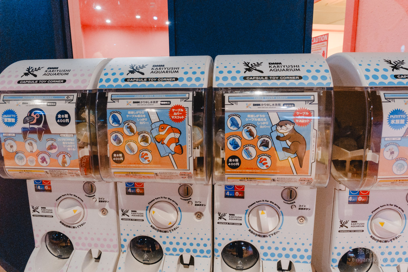 沖繩景點｜DMM水族館 親子互動×餵食體驗全攻略