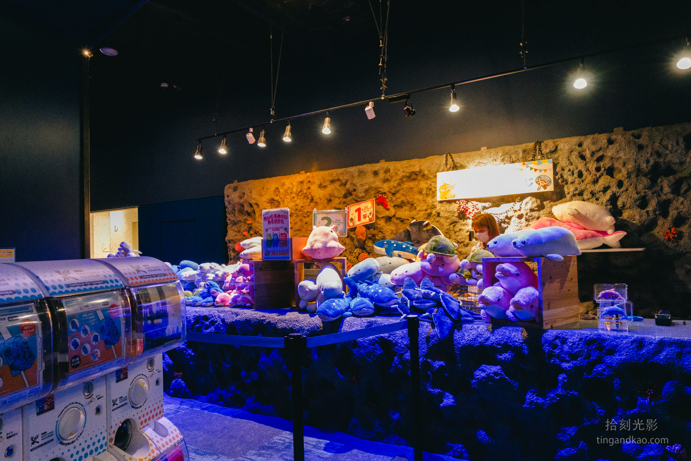 沖繩景點｜DMM水族館 親子互動×餵食體驗全攻略