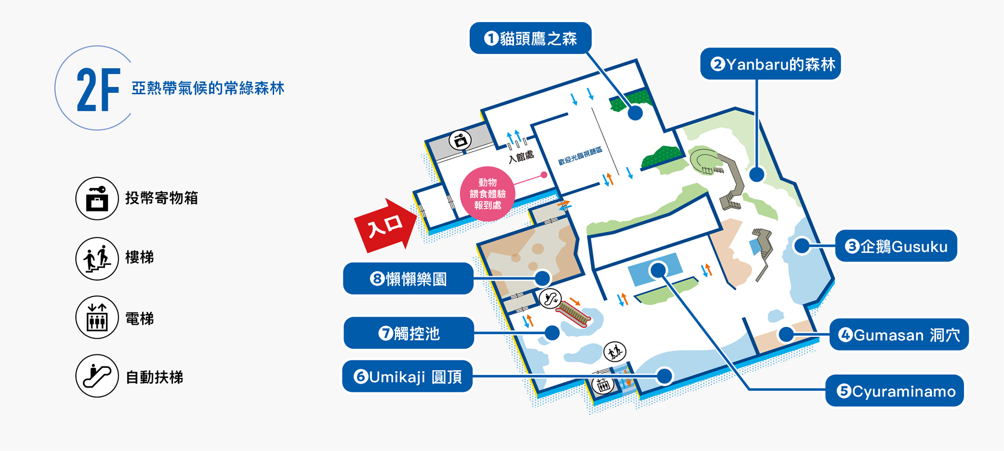 沖繩景點｜DMM水族館 親子互動×餵食體驗全攻略
