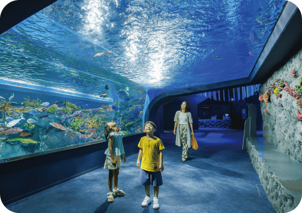 沖繩景點｜DMM水族館 親子互動×餵食體驗全攻略