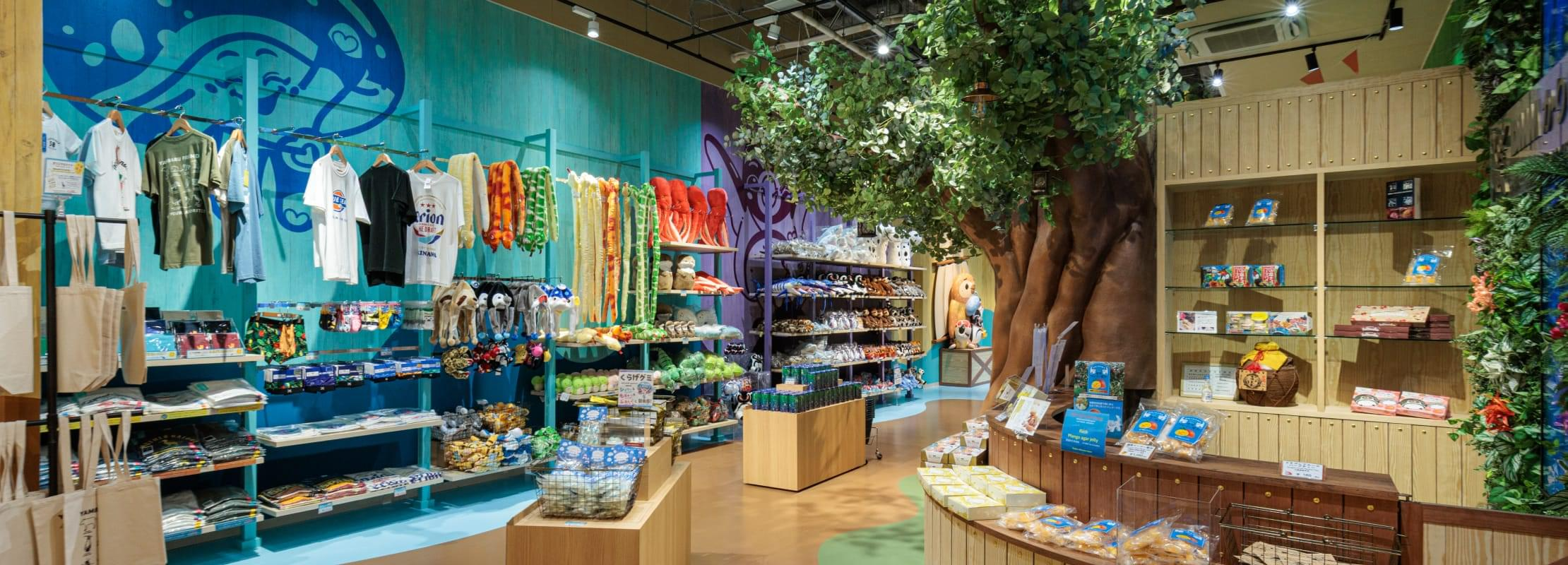 沖繩景點｜DMM水族館 親子互動×餵食體驗全攻略