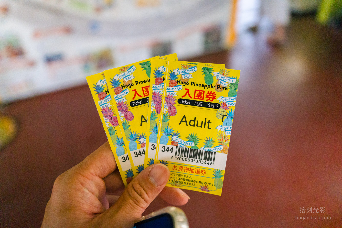 沖繩景點｜名護鳳梨園 親子遊推薦