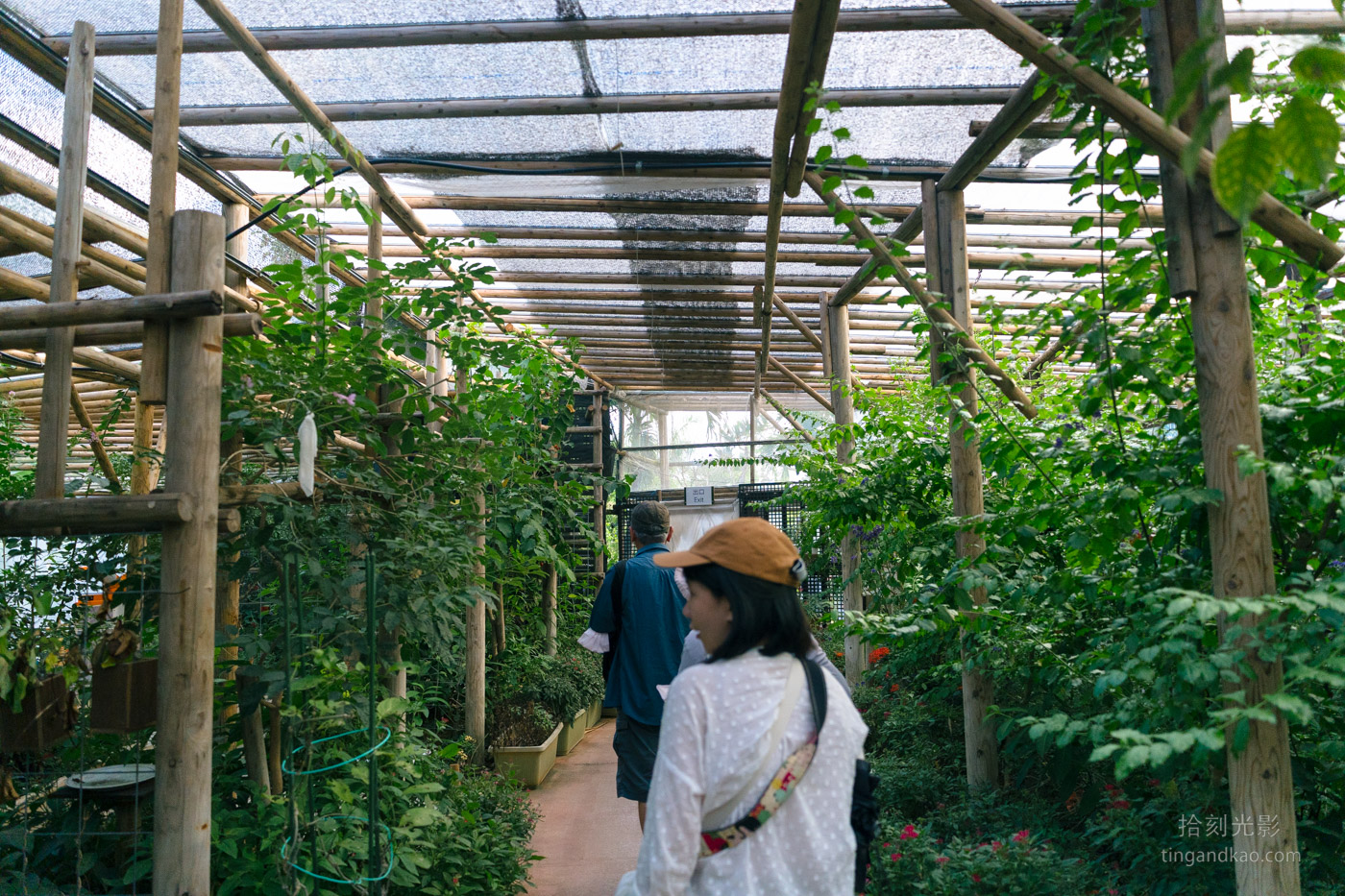 沖繩景點｜名護鳳梨園 親子遊推薦