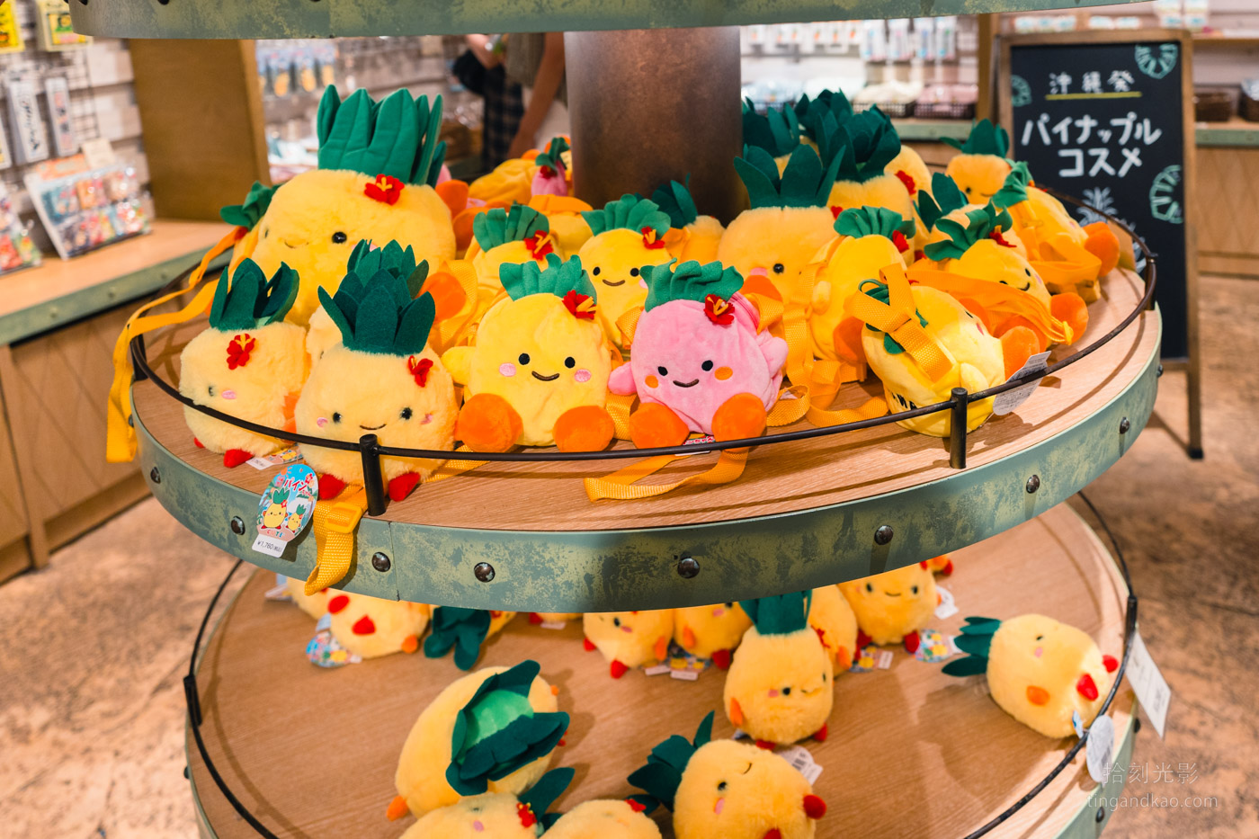 沖繩景點｜名護鳳梨園 親子遊推薦