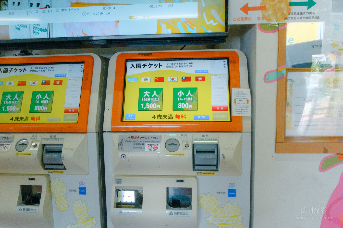 沖繩景點｜名護鳳梨園 親子遊推薦