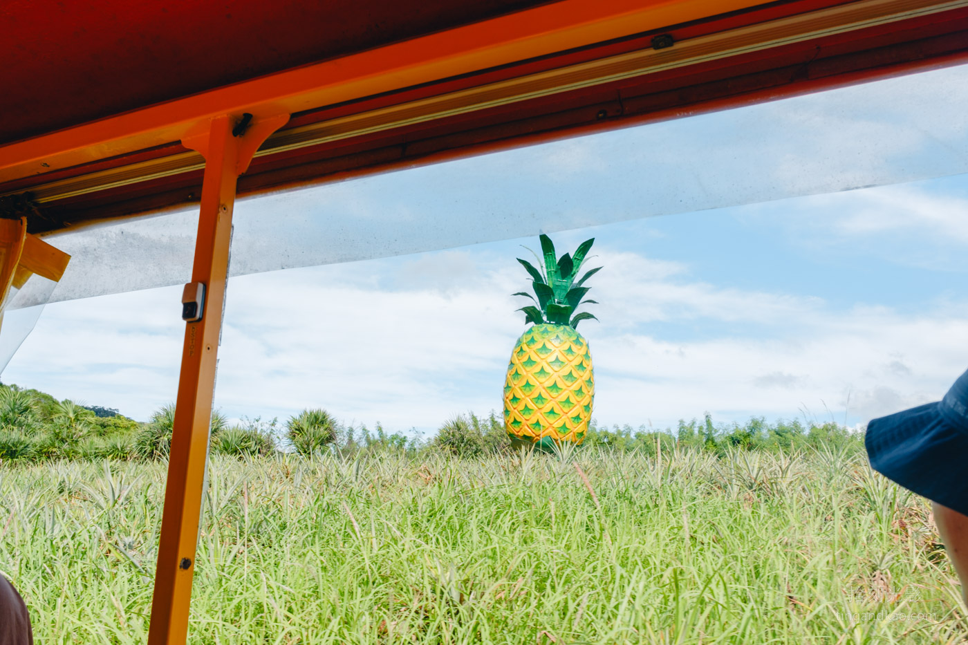 沖繩景點｜名護鳳梨園 親子遊推薦