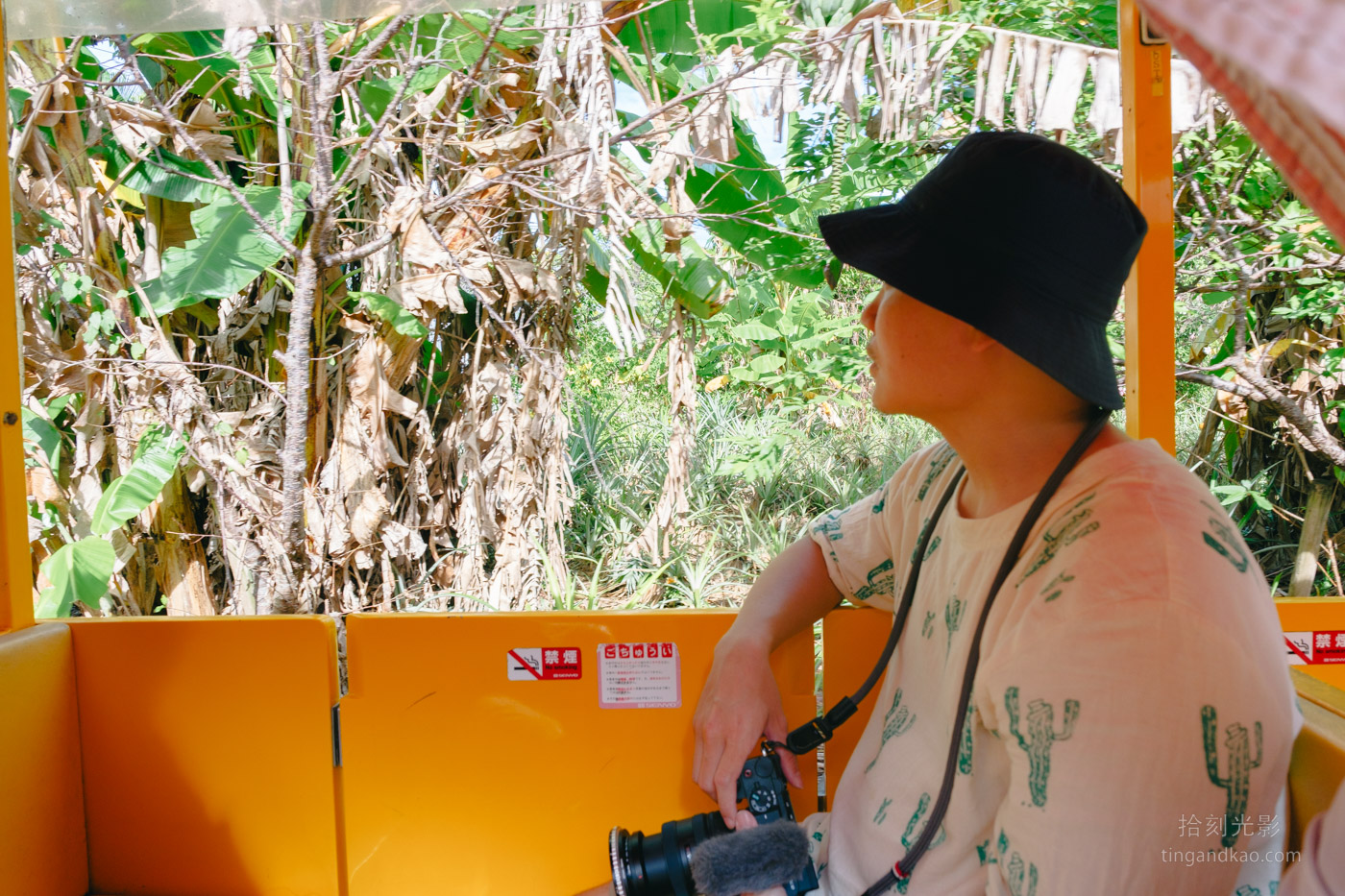沖繩景點｜名護鳳梨園 親子遊推薦