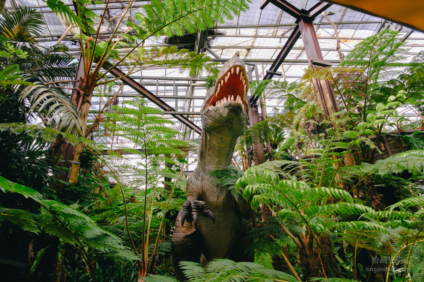 沖繩景點｜名護鳳梨園 親子遊推薦