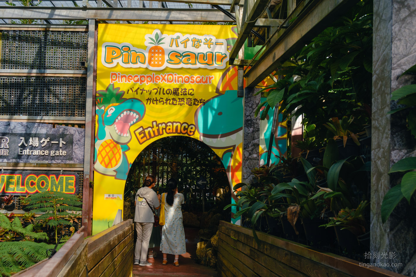 沖繩景點｜名護鳳梨園 親子遊推薦