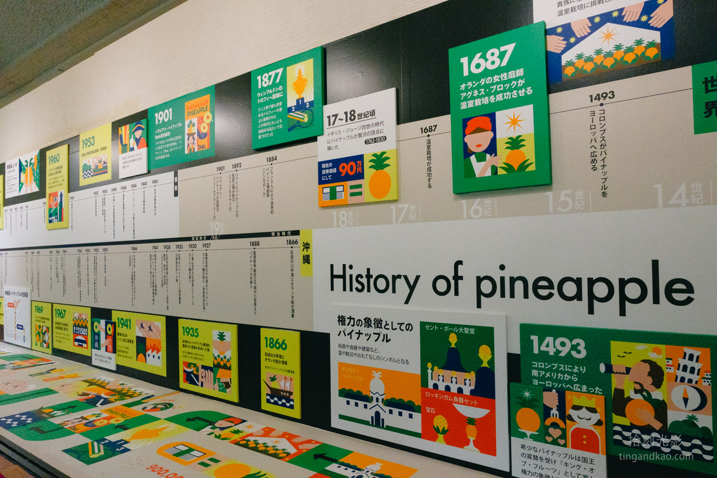 沖繩景點｜名護鳳梨園 親子遊推薦