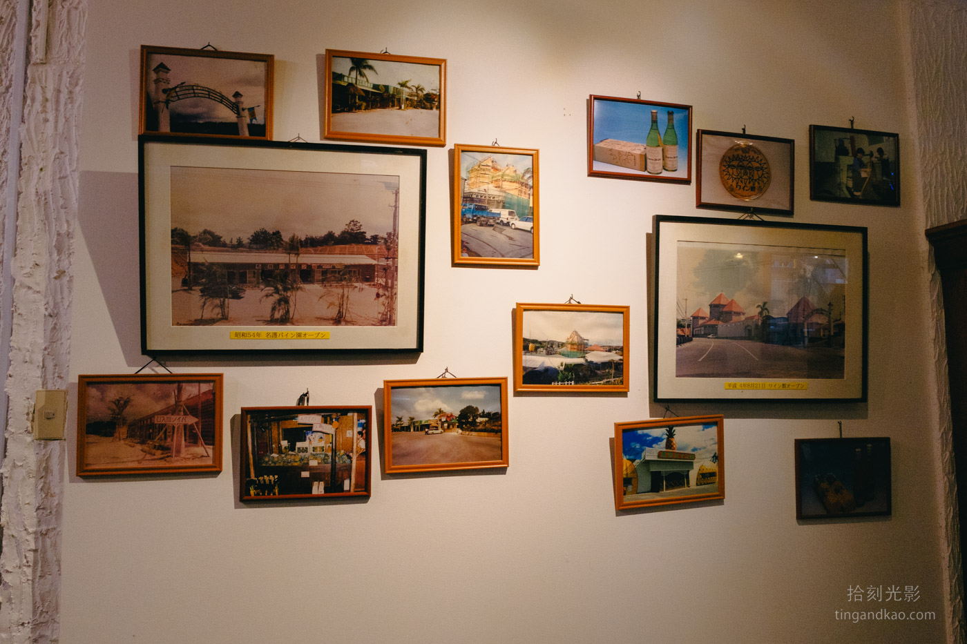 沖繩景點｜名護鳳梨園 親子遊推薦