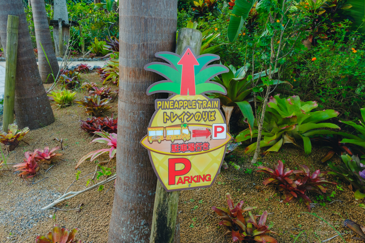 沖繩景點｜名護鳳梨園 親子遊推薦