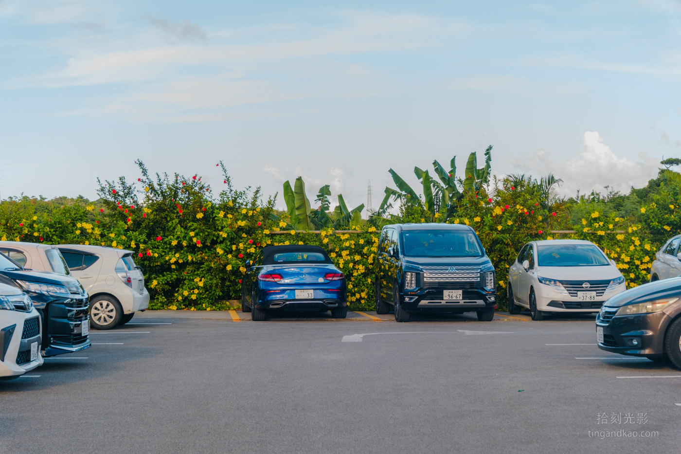 沖繩景點｜名護鳳梨園 親子遊推薦
