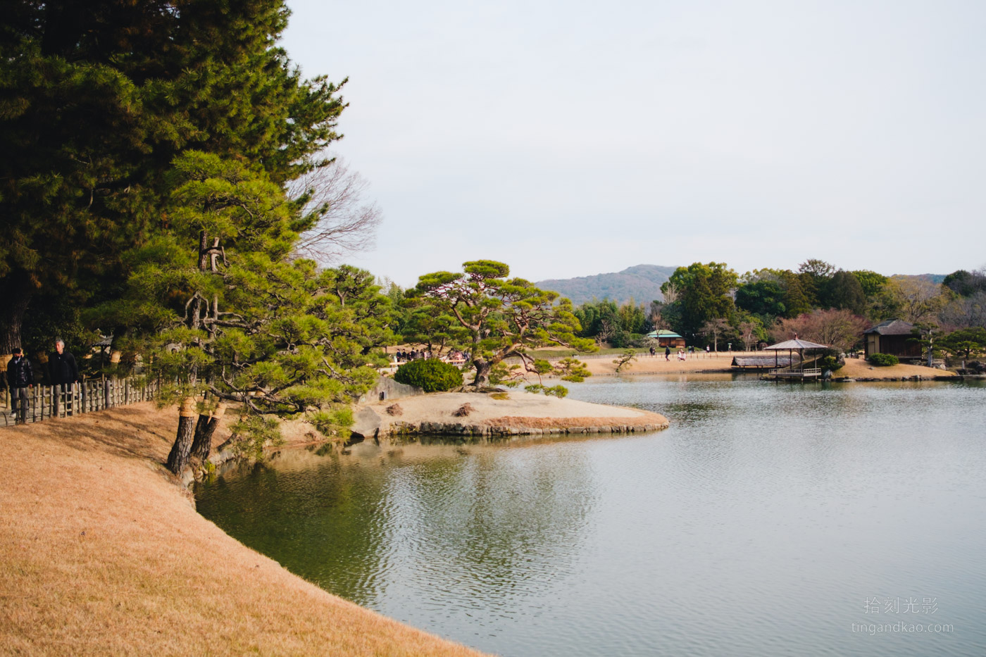 岡山景點｜日本三大名園 -岡山後樂園四季賞花路線攻略