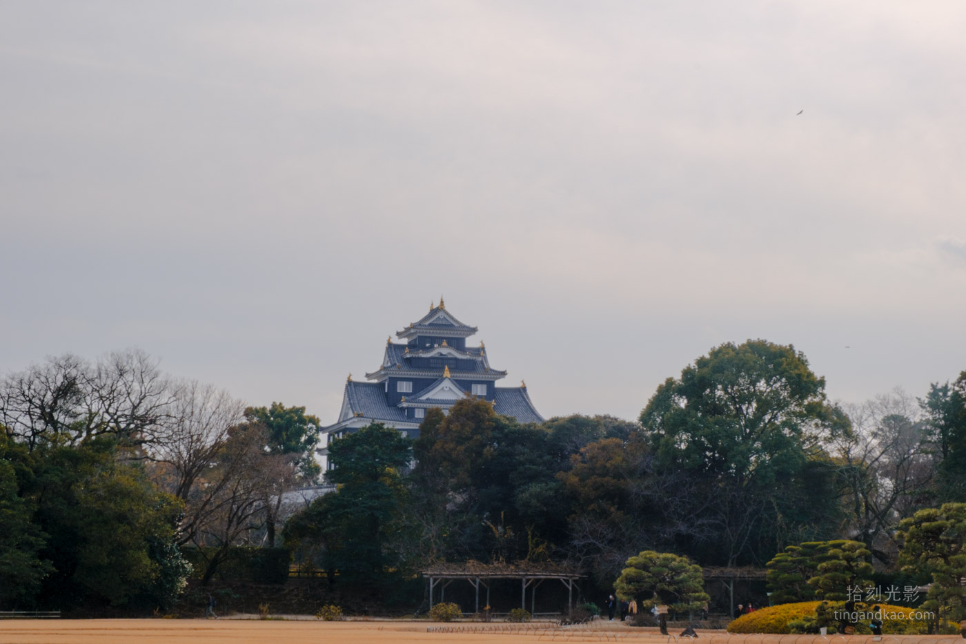 岡山景點｜日本三大名園 -岡山後樂園四季賞花路線攻略