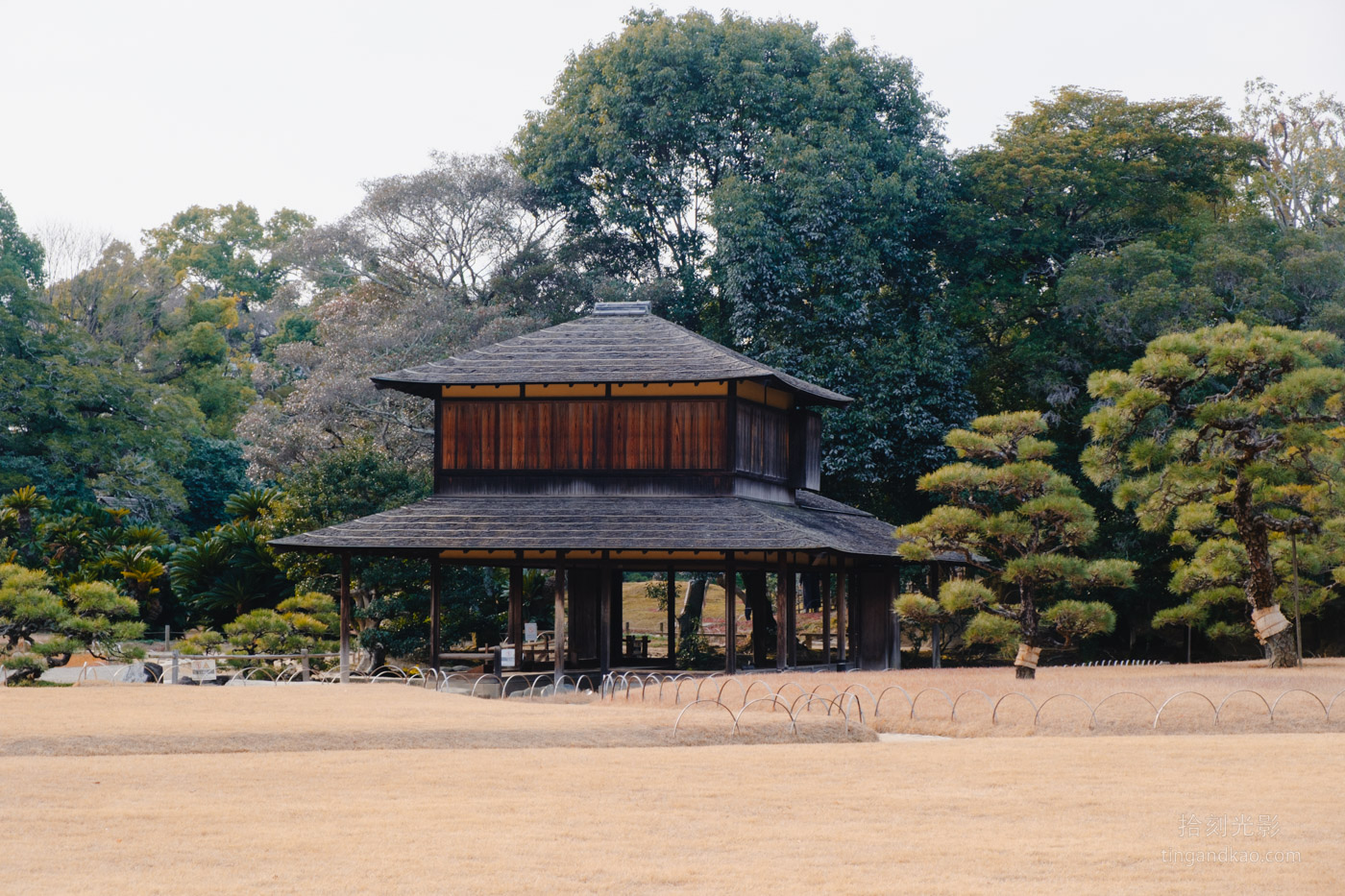 岡山景點｜日本三大名園 -岡山後樂園四季賞花路線攻略