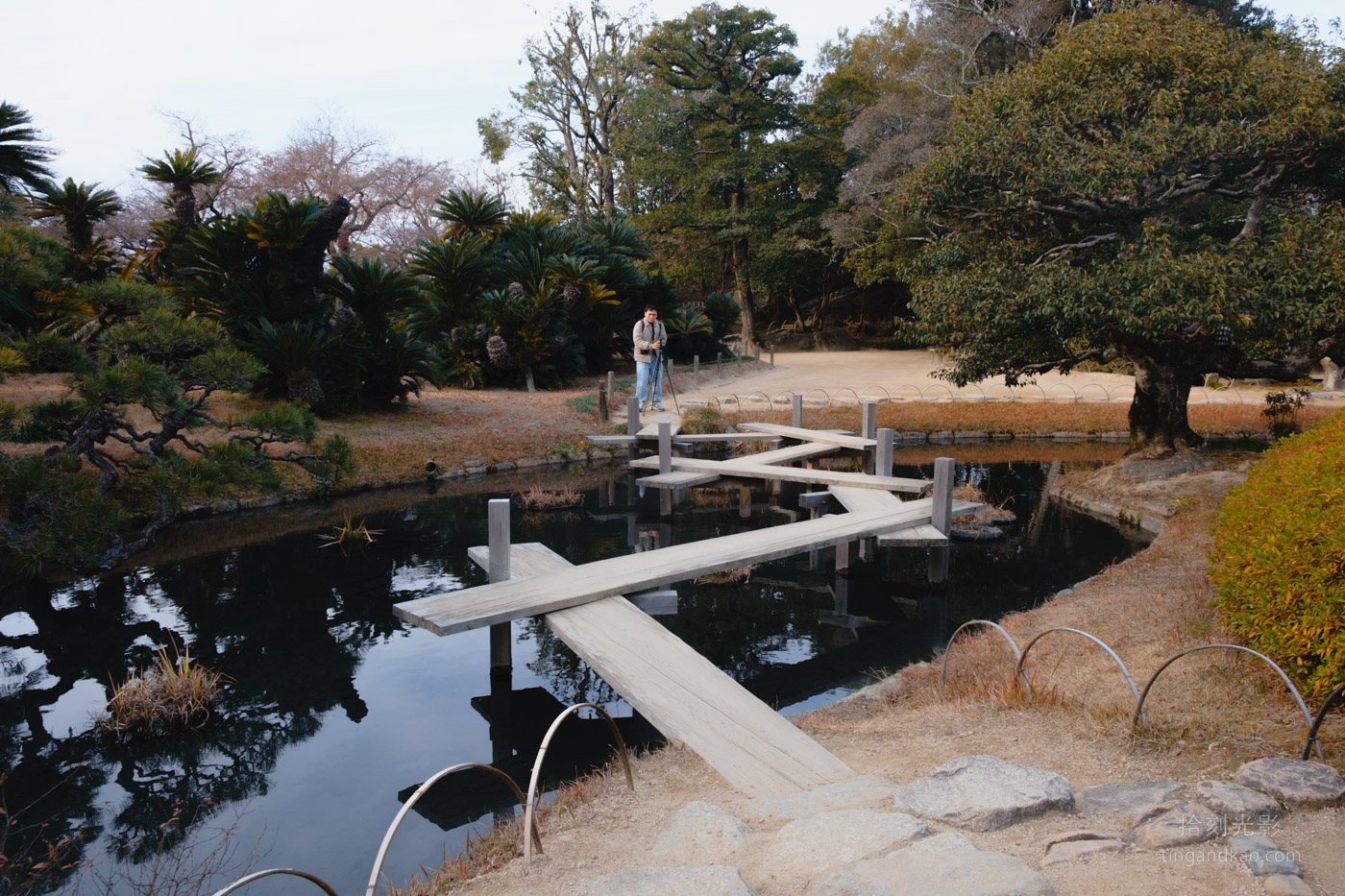 岡山景點｜日本三大名園 -岡山後樂園四季賞花路線攻略