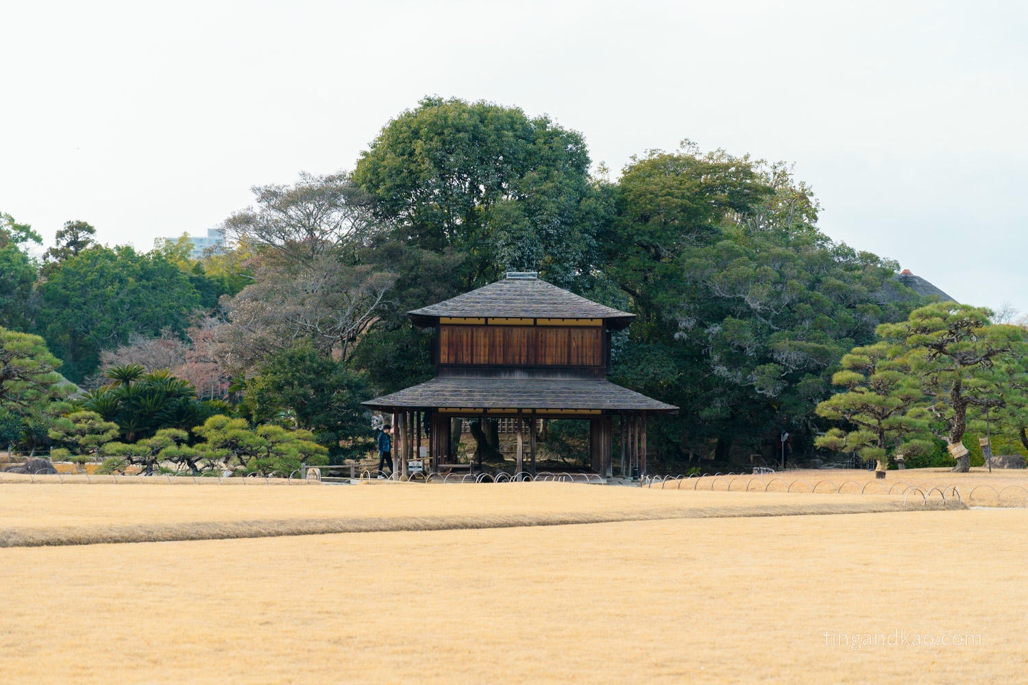 岡山景點｜日本三大名園 -岡山後樂園四季賞花路線攻略