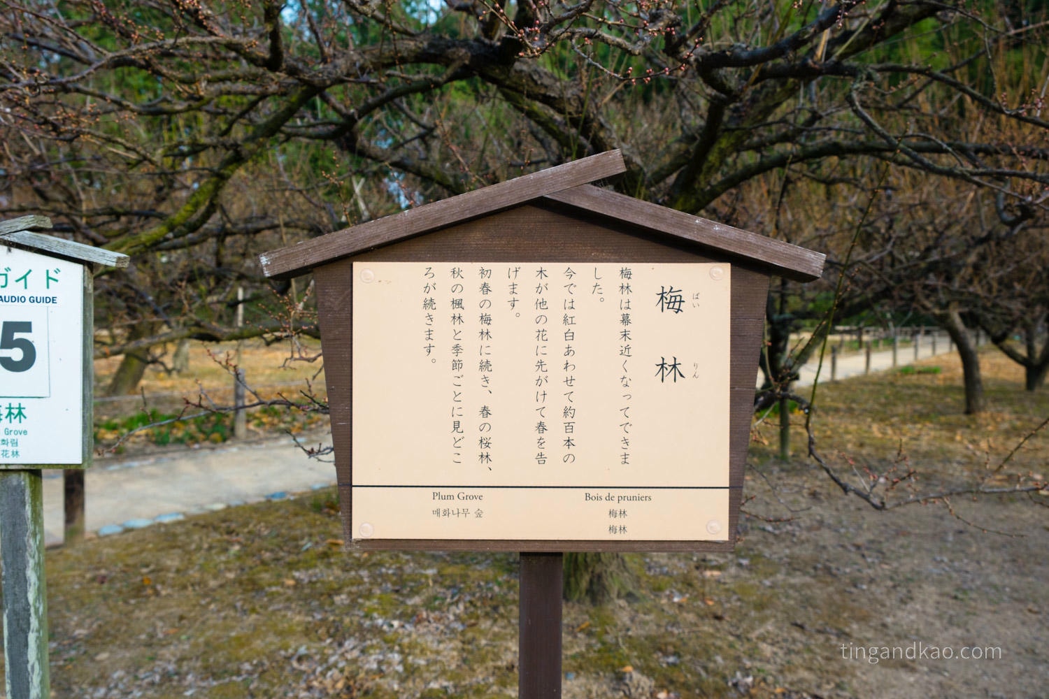 岡山景點｜日本三大名園 -岡山後樂園四季賞花路線攻略