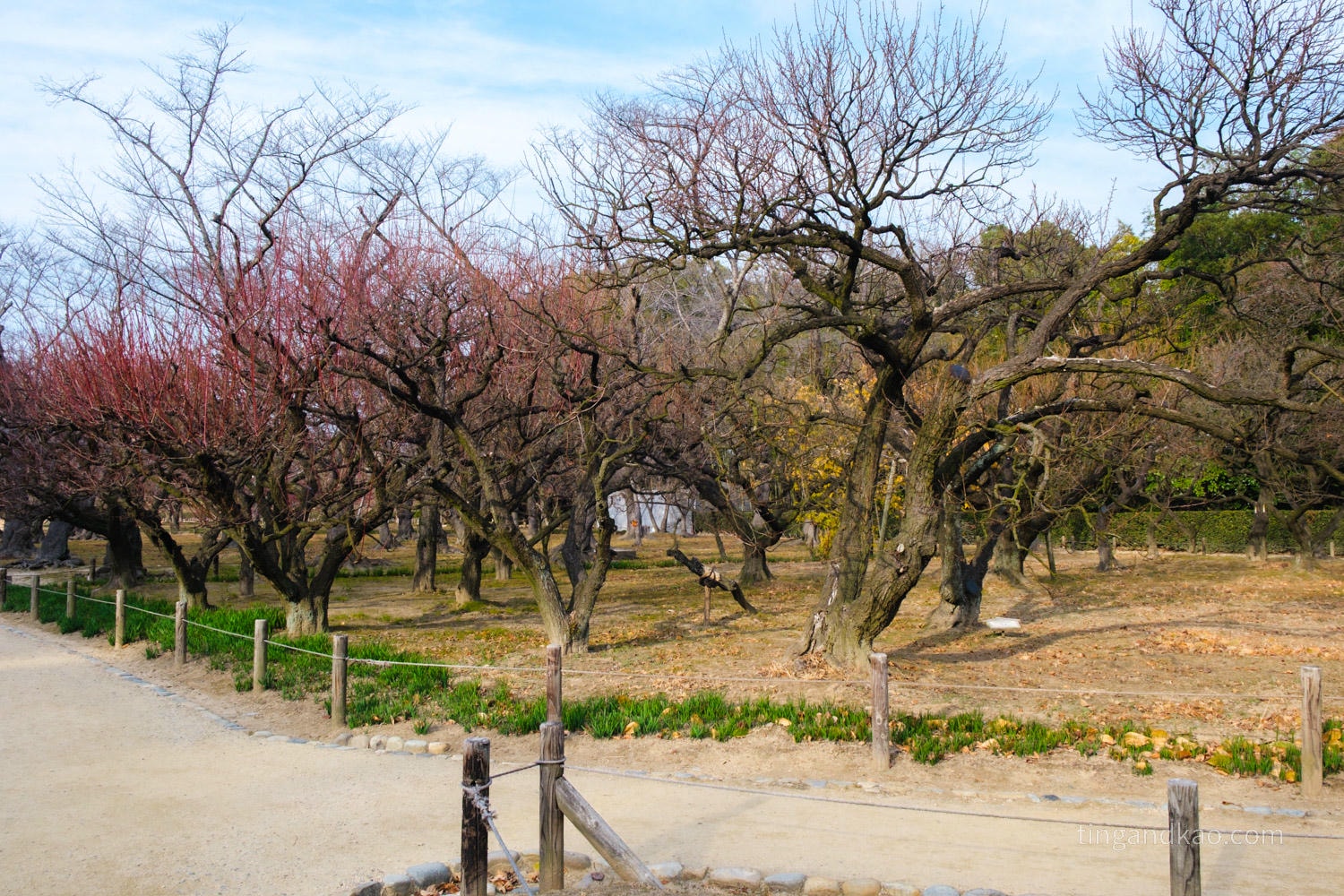 岡山景點｜日本三大名園 -岡山後樂園四季賞花路線攻略