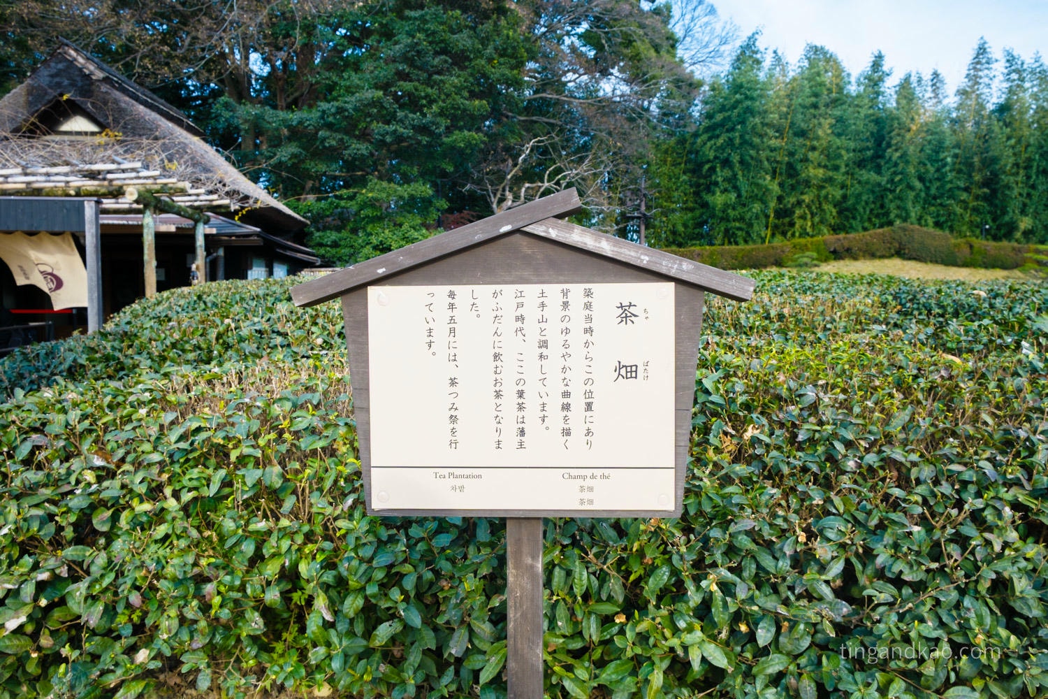 岡山景點｜日本三大名園 -岡山後樂園四季賞花路線攻略