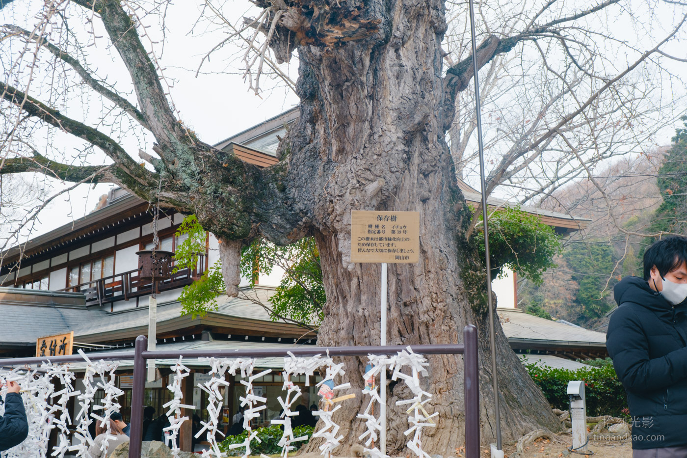 吉備津神社完整攻略｜桃太郎傳說交通參拜 國寶迴廊必訪