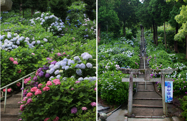 吉備津神社完整攻略｜桃太郎傳說交通參拜 國寶迴廊必訪
