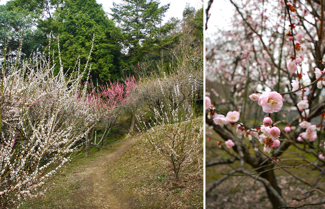 吉備津神社完整攻略｜桃太郎傳說交通參拜 國寶迴廊必訪