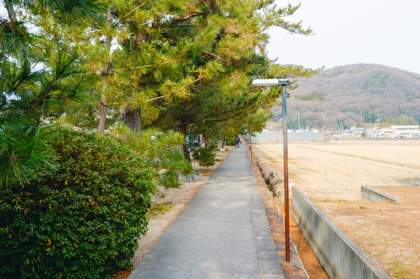 吉備津神社完整攻略｜桃太郎傳說交通參拜 國寶迴廊必訪