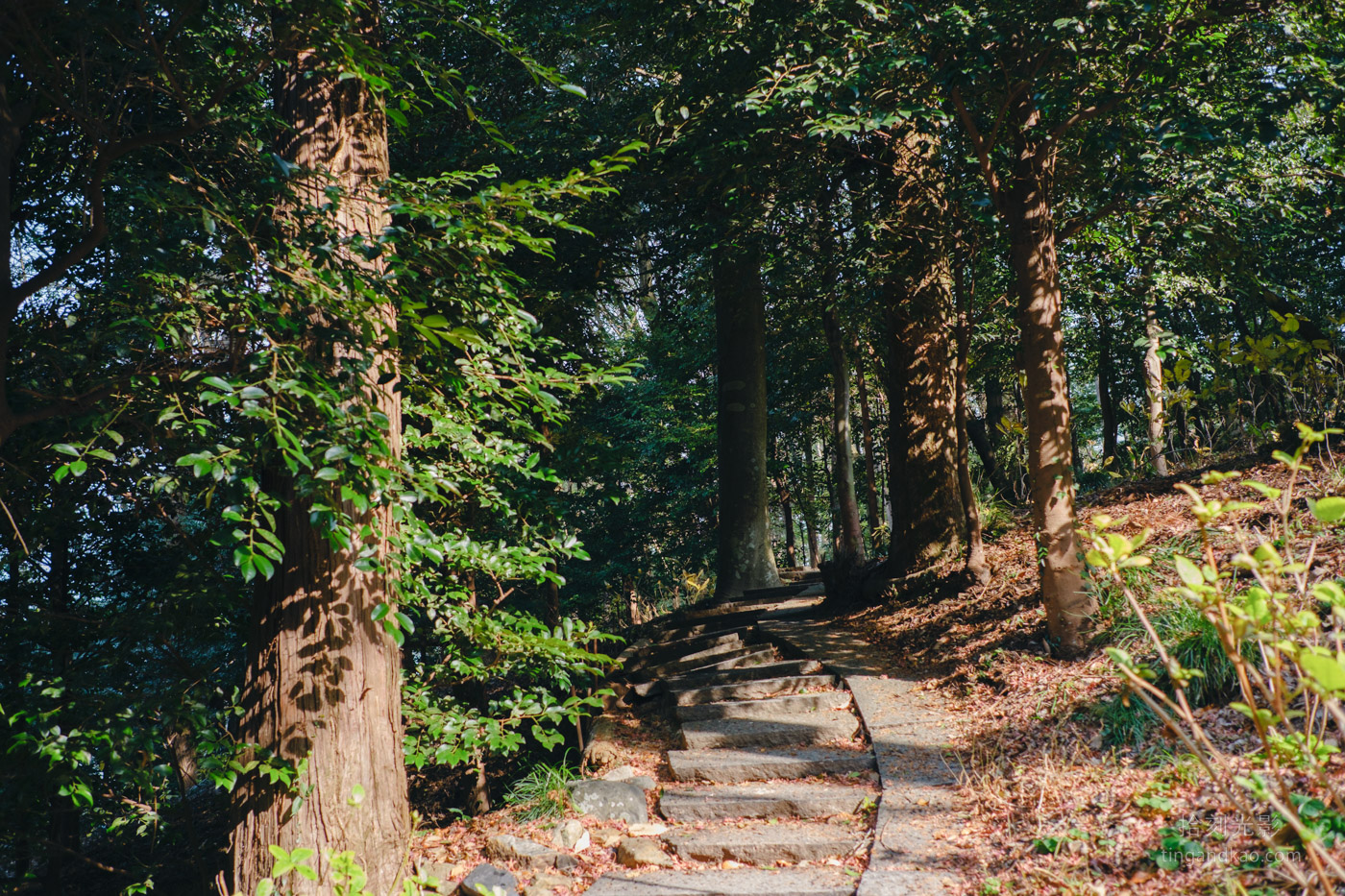 吉備津神社完整攻略｜桃太郎傳說交通參拜 國寶迴廊必訪
