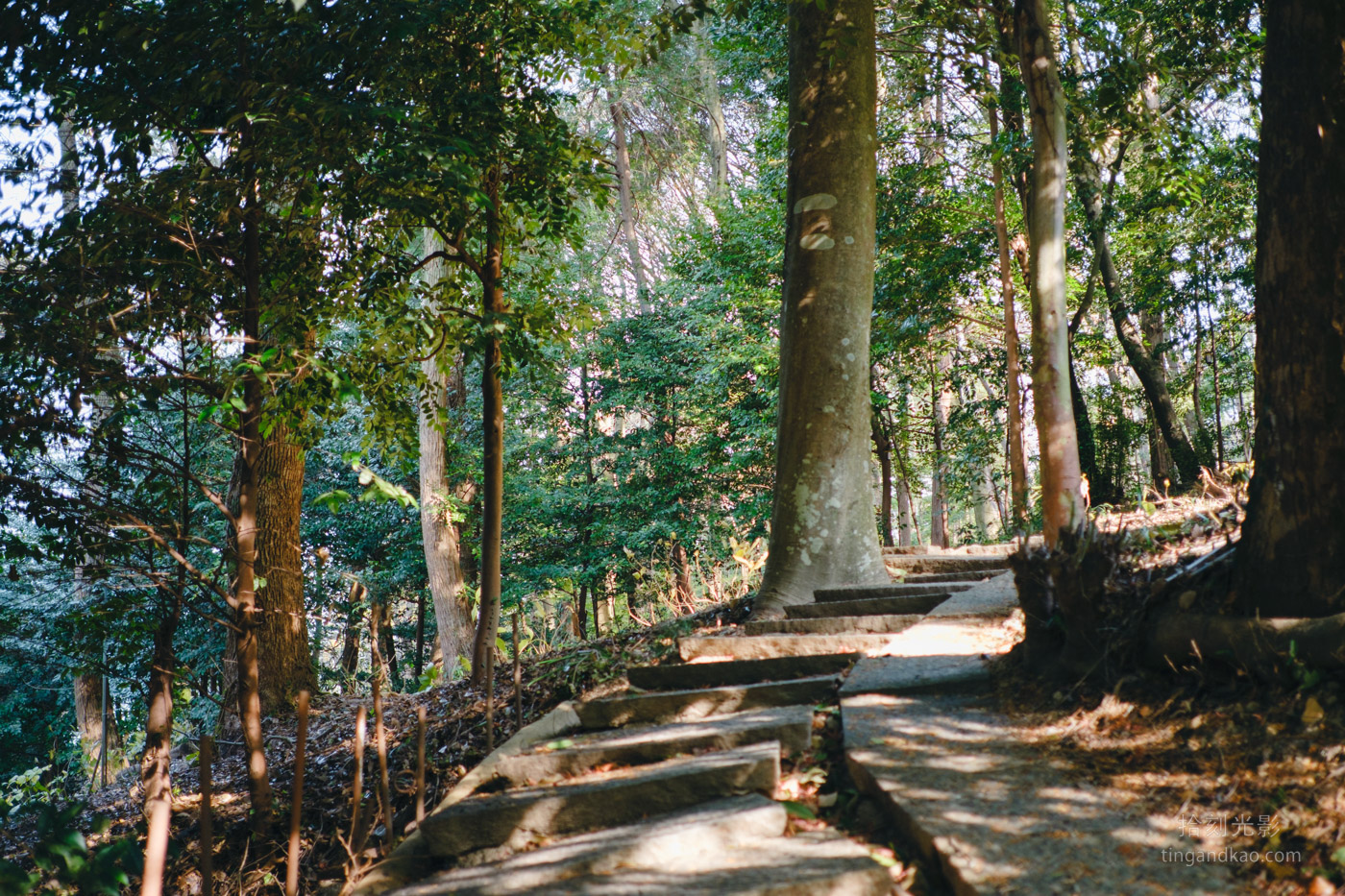 吉備津神社完整攻略｜桃太郎傳說交通參拜 國寶迴廊必訪