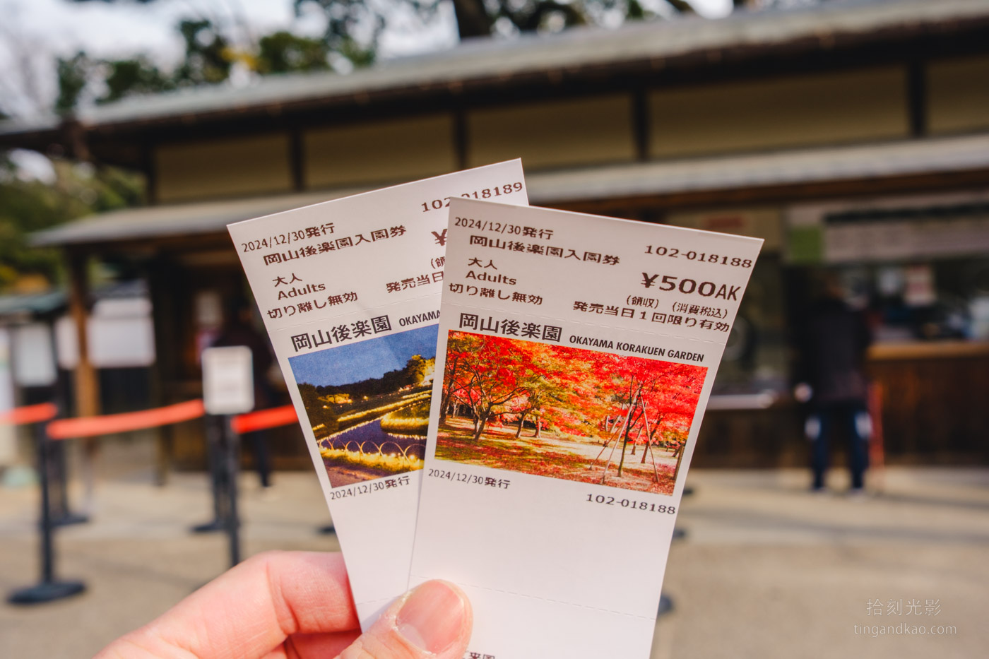岡山景點｜日本三大名園 -岡山後樂園四季賞花路線攻略