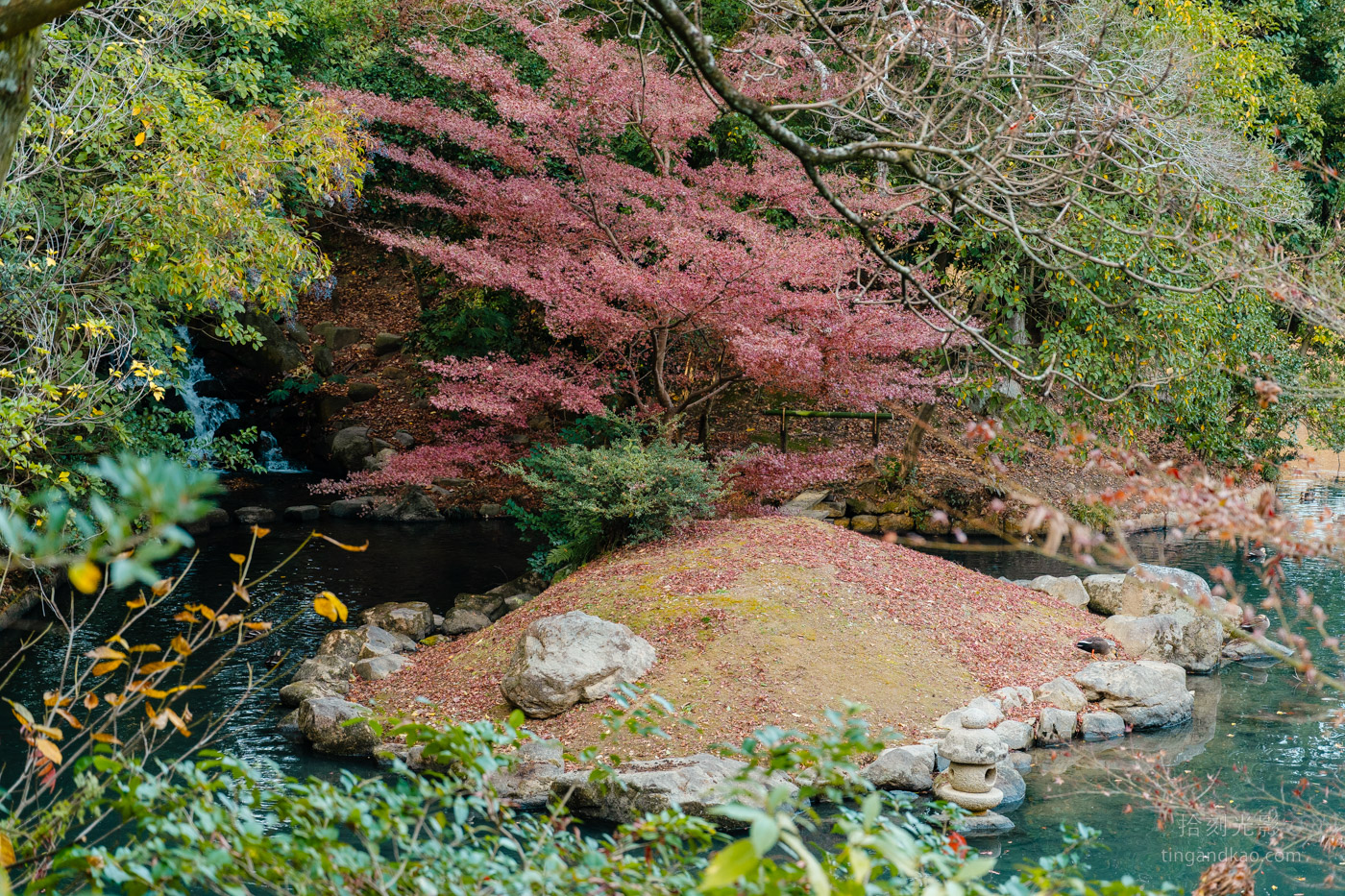 岡山景點｜日本三大名園 -岡山後樂園四季賞花路線攻略