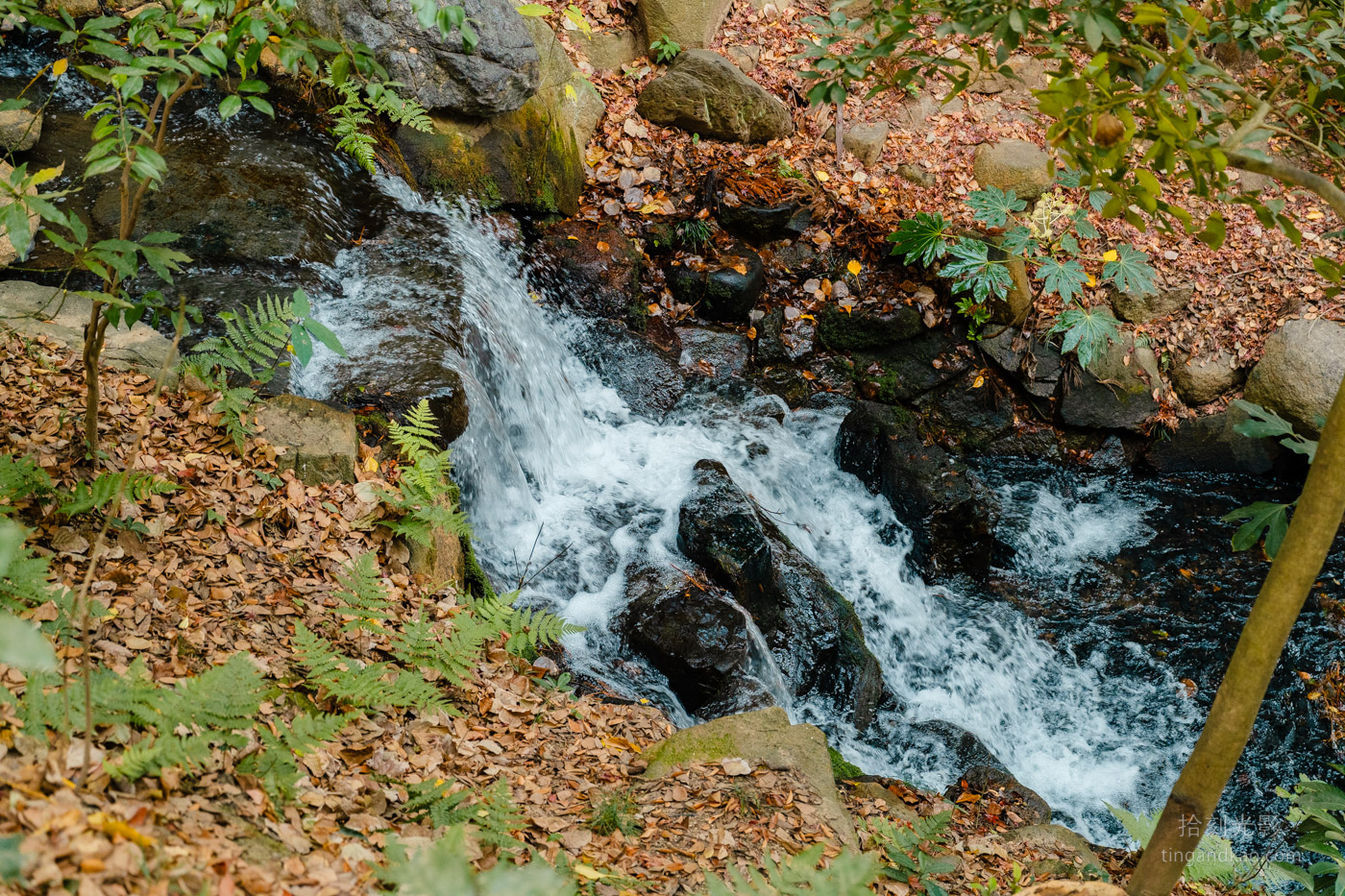 岡山景點｜日本三大名園 -岡山後樂園四季賞花路線攻略
