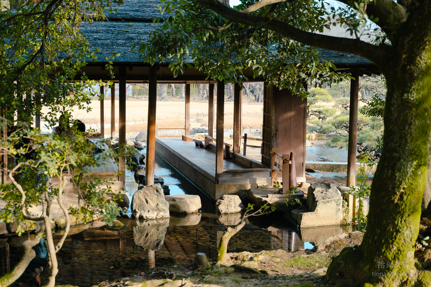 岡山景點｜日本三大名園 -岡山後樂園四季賞花路線攻略