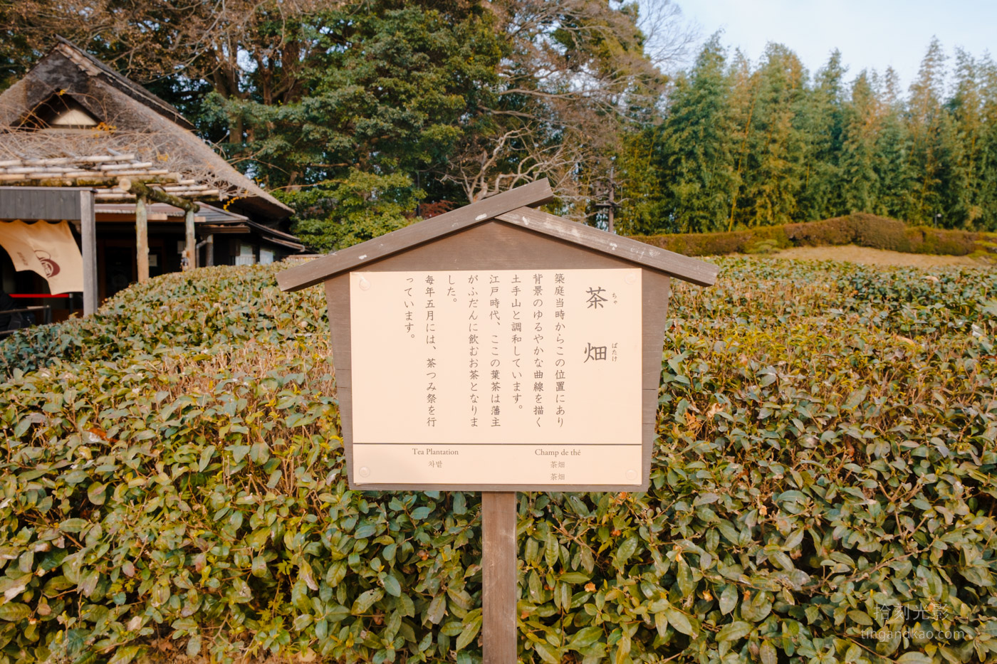 岡山景點｜日本三大名園 -岡山後樂園四季賞花路線攻略