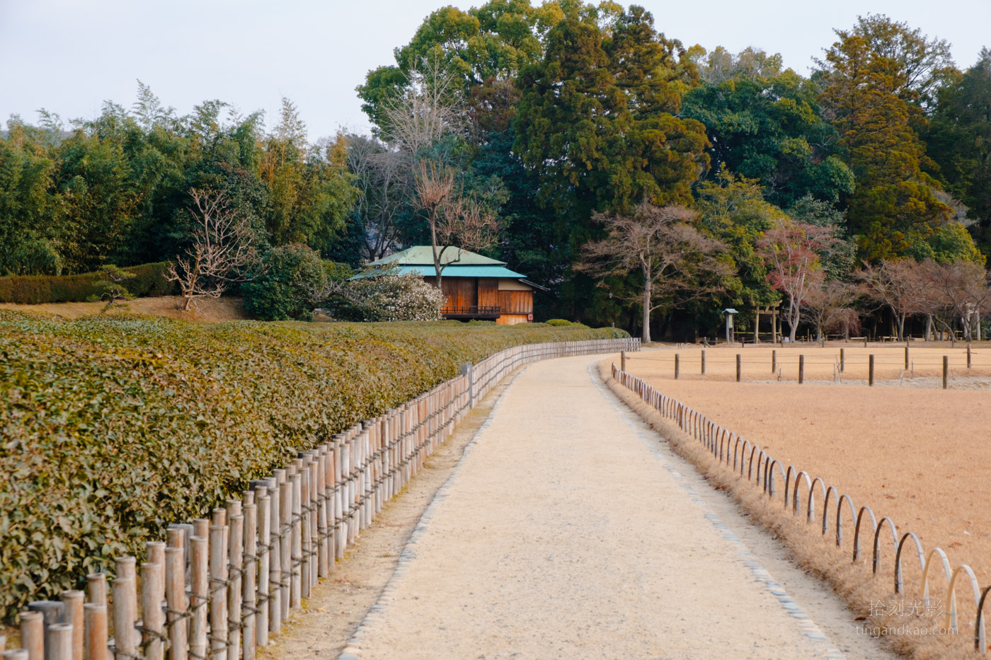 岡山景點｜日本三大名園 -岡山後樂園四季賞花路線攻略