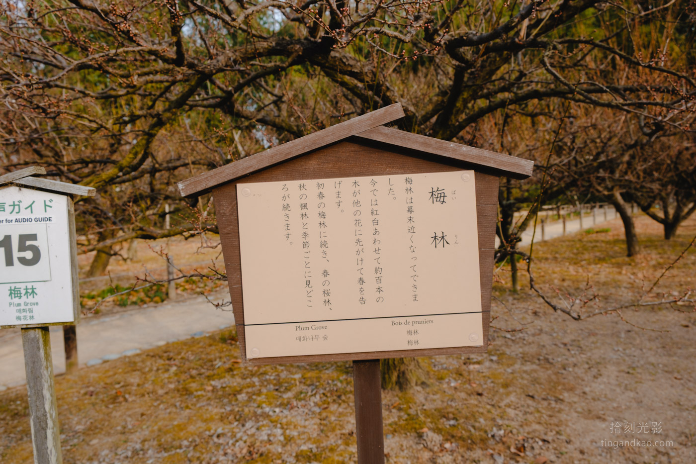 岡山景點｜日本三大名園 -岡山後樂園四季賞花路線攻略