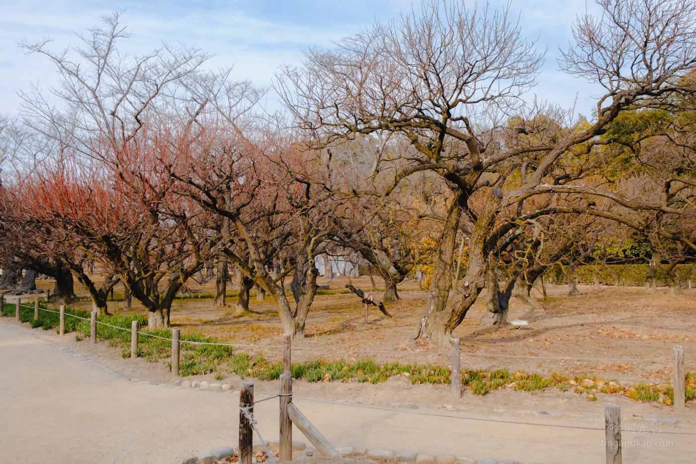 岡山景點｜日本三大名園 -岡山後樂園四季賞花路線攻略