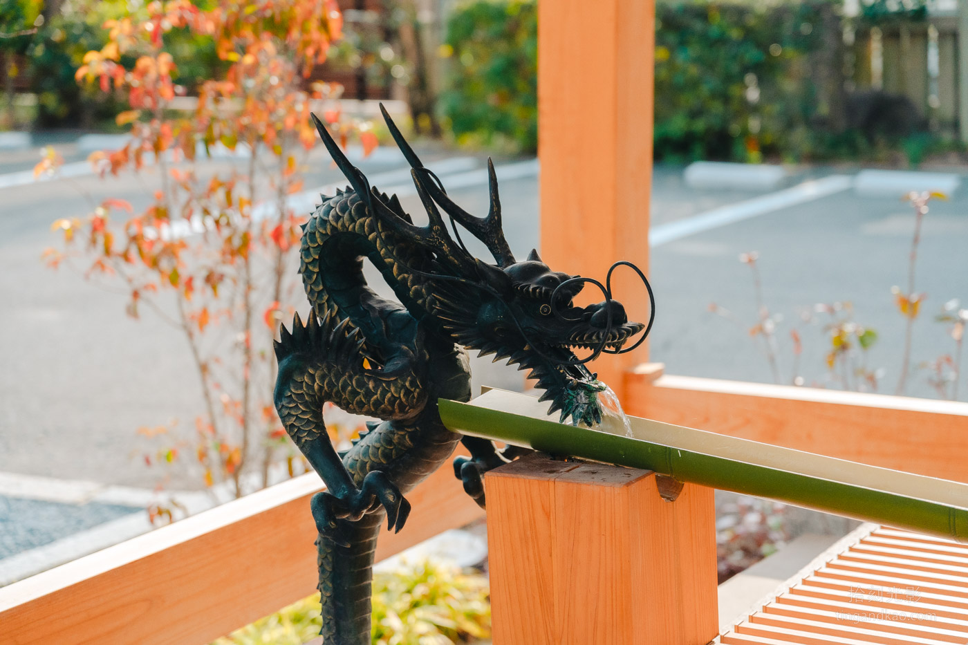 岡山景點｜岡山神社 交通參拜巨型繪馬 後樂園步行5分鐘