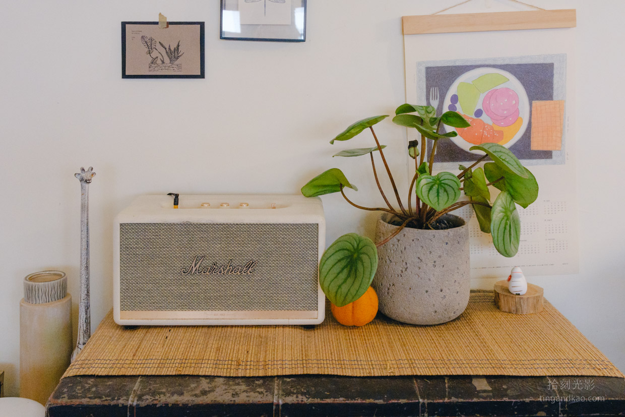 雲林美食｜抵家‧Home 全日早午餐義式料理