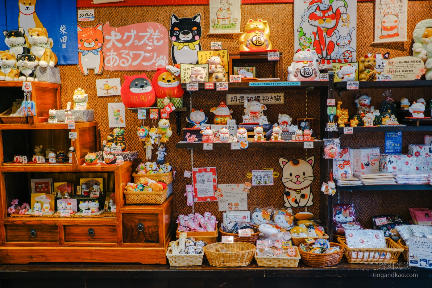 倉敷美觀地區|倉敷の犬猫屋敷 貓狗選物店與豹貓咖啡廳 - 第4張圖 倉敷美觀地區|倉敷の犬猫屋敷 貓狗選物店與豹貓咖啡廳