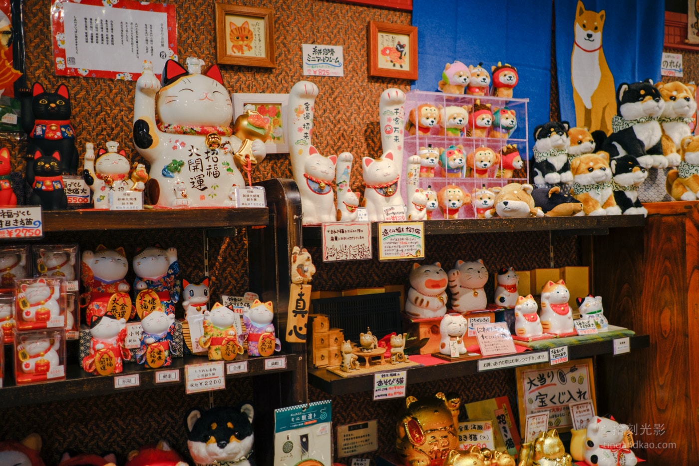倉敷美觀地區|倉敷の犬猫屋敷 貓狗選物店與豹貓咖啡廳 - 第3張圖 倉敷美觀地區|倉敷の犬猫屋敷 貓狗選物店與豹貓咖啡廳