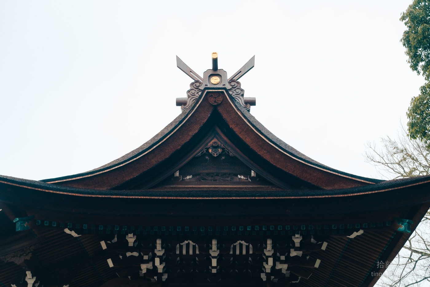 倉敷景點|阿智神社交通、御守、紫藤花完整指南 - 第15張圖 倉敷景點|阿智神社交通、御守、紫藤花完整指南