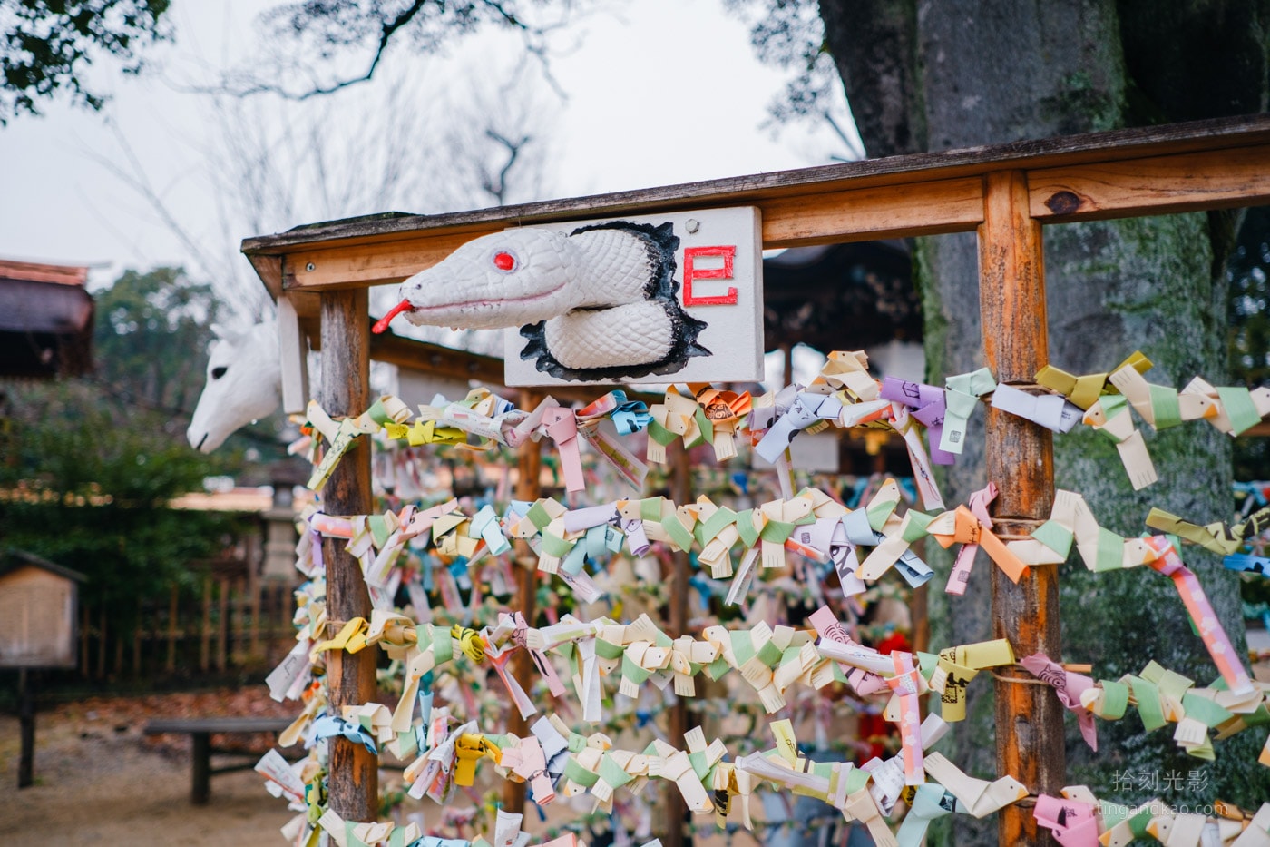 倉敷景點|阿智神社交通、御守、紫藤花完整指南 - 第17張圖 倉敷景點|阿智神社交通、御守、紫藤花完整指南