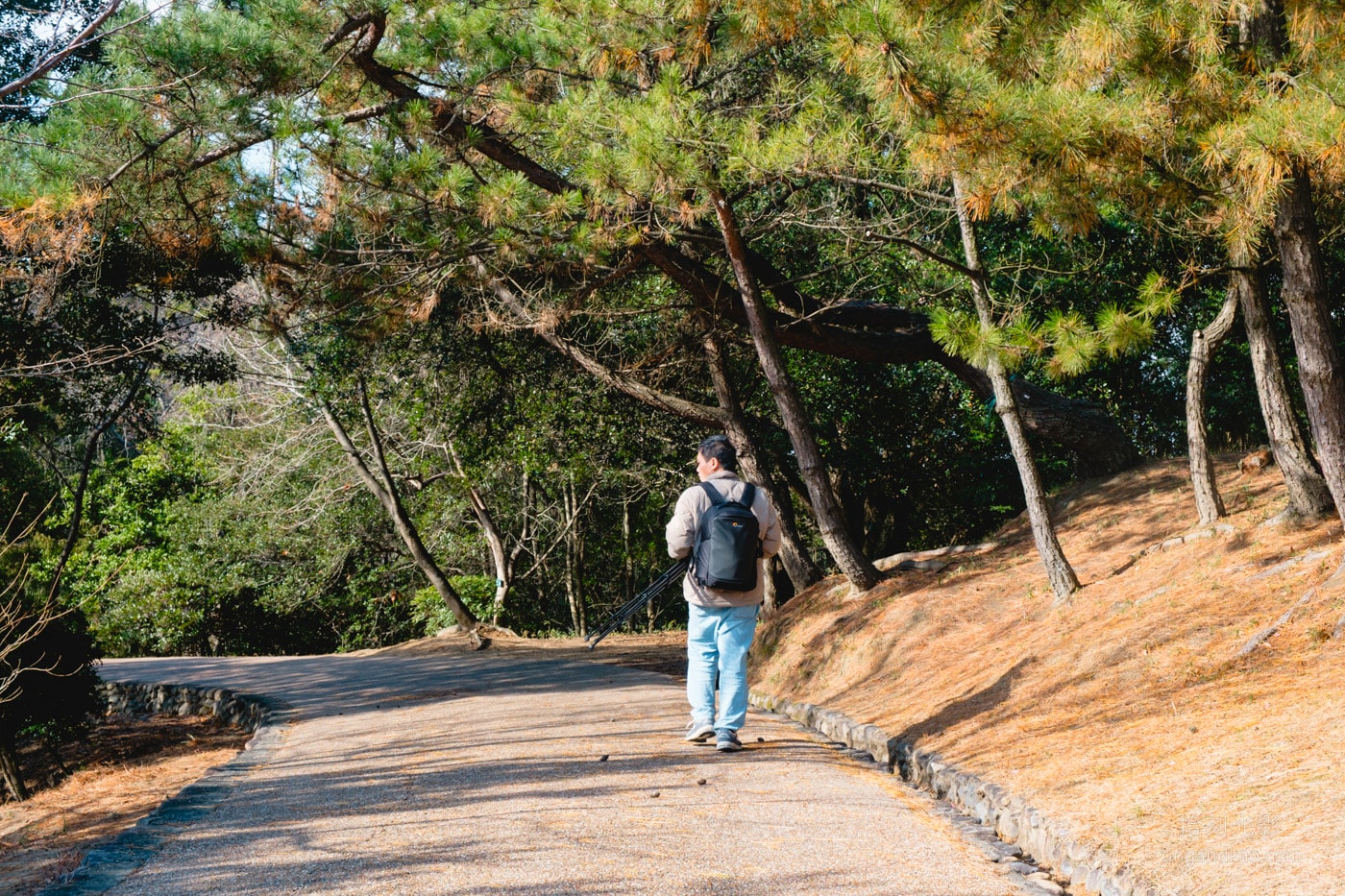 通往鷲羽山上頂路徑