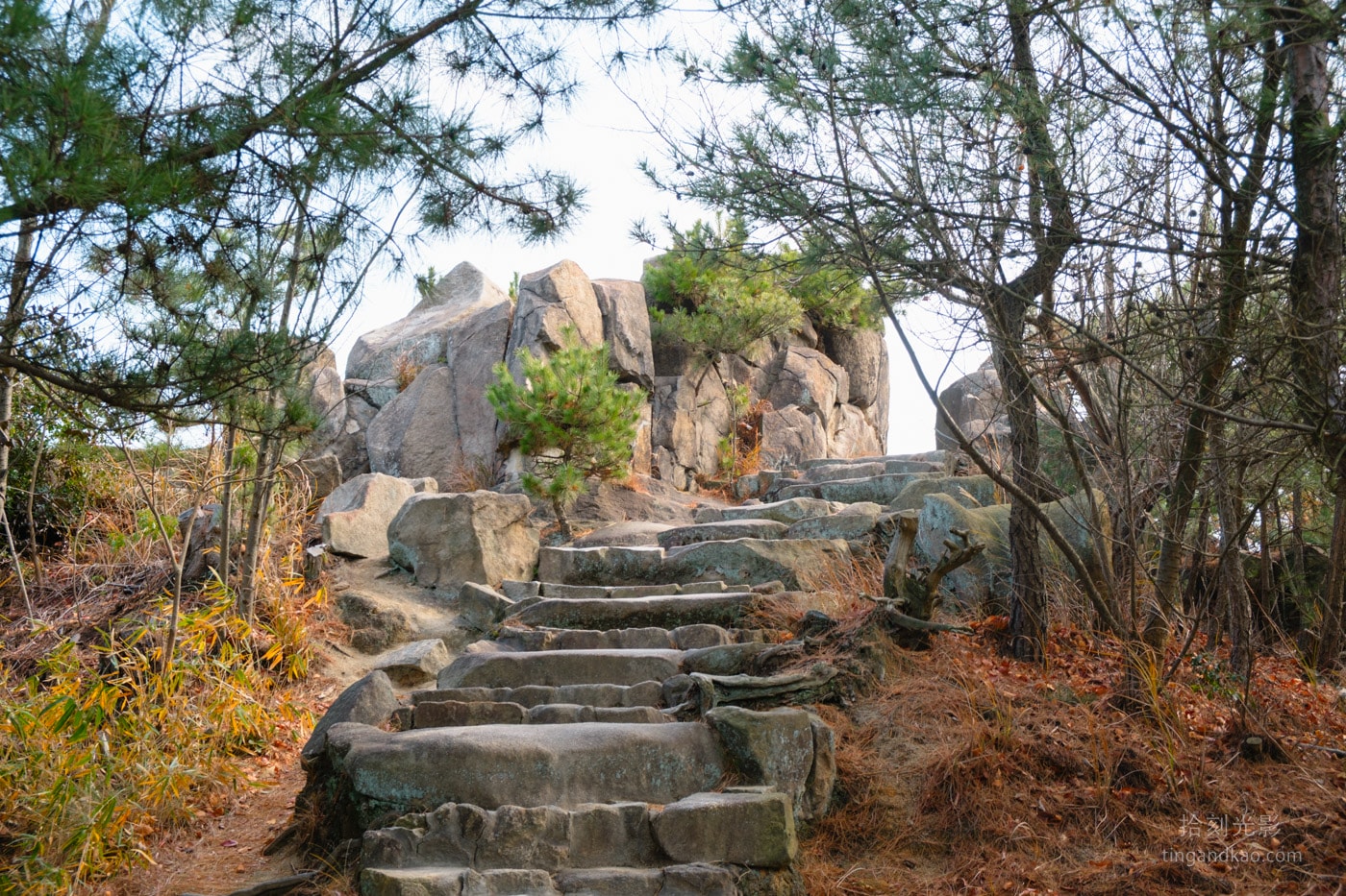通往鷲羽山山頂