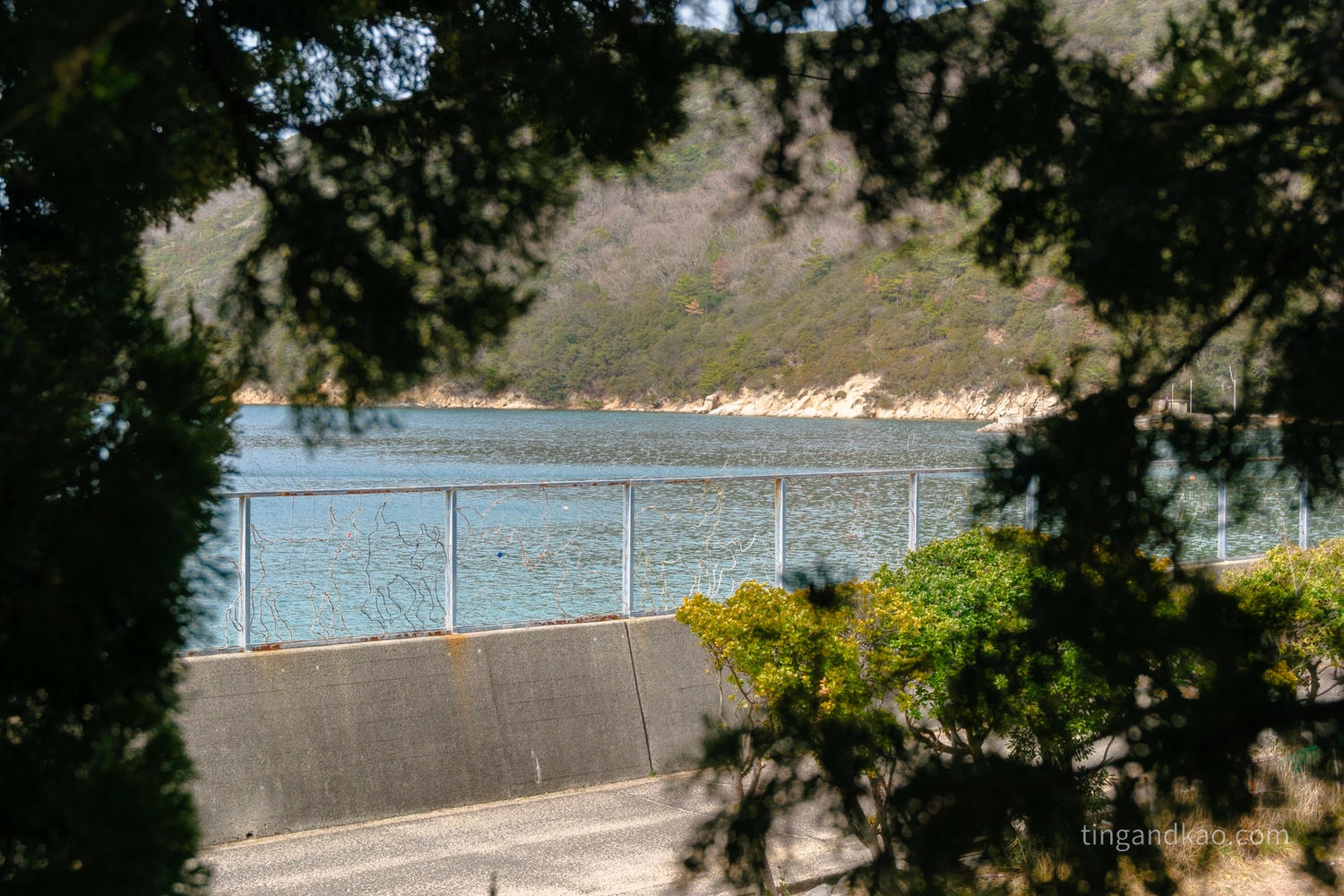 2026 小豆島 藝術作品地圖攻略|常設作品景點+交通 全整理 - 第24張圖 2026 小豆島 藝術作品地圖攻略|常設作品景點+交通 全整理